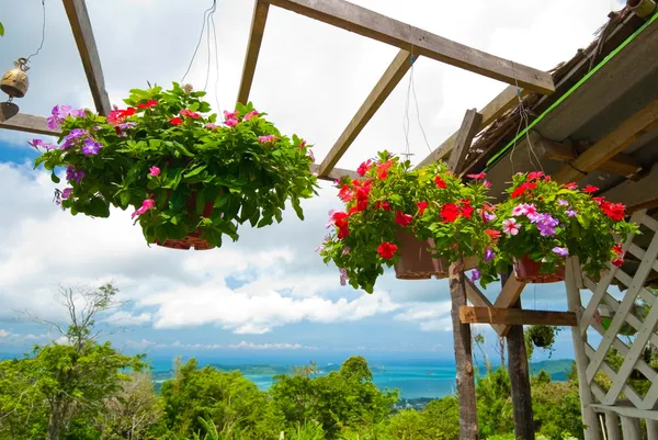 Basket of flowers — Stock Photo, Image