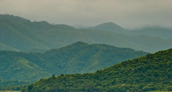 Tropikal Yağmur Ormanları — Stok fotoğraf