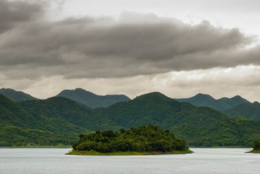 Tropikal Yağmur Ormanları