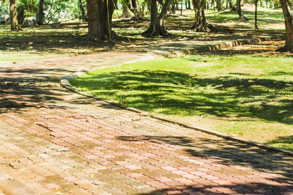 Durch den Park zum Joggen oder Ausruhen — Stockfoto