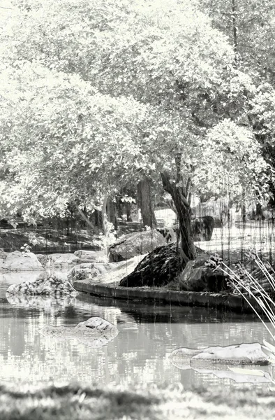 Spring Park. Jezero v jarním parku. Jarní krajina. — Stock fotografie