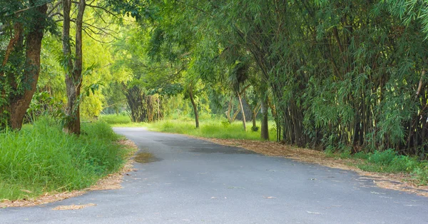 Przez park na jogging i reszta — Zdjęcie stockowe