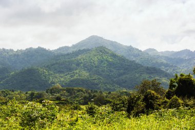 tropikal yağmur ormanları, khao yai Milli Parkı Tayland
