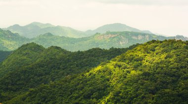 tropikal yağmur ormanları, khao yai Milli Parkı Tayland
