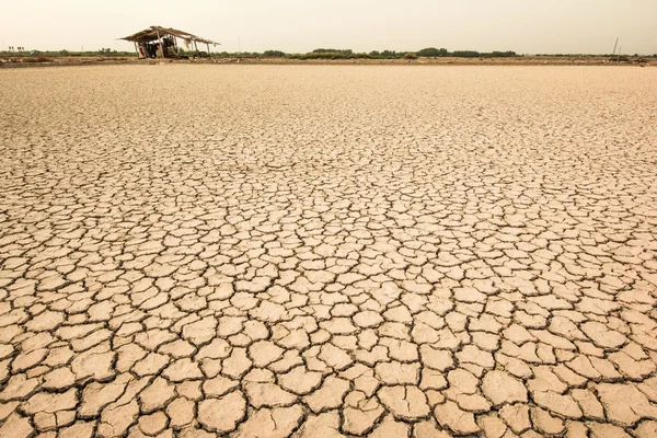 A terra seca — Fotografia de Stock