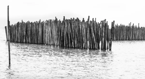 Barriera di bambù ondulato — Foto Stock