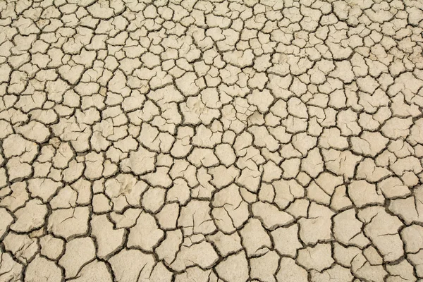 ひびの入った土 — ストック写真