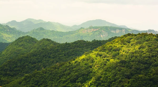 Foresta pluviale tropicale, Khao Yai National Park Thailandia — Foto Stock