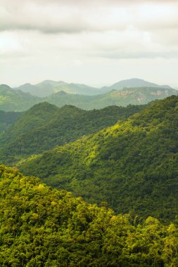 tropikal yağmur ormanları, khao yai Milli Parkı Tayland