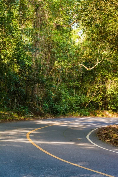 Droga w tropikalnych, Tajlandia park narodowy khao yai — Zdjęcie stockowe