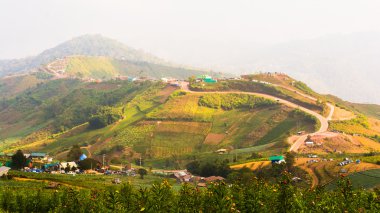 tropikal yağmur ormanlarında, phu hin rong kla Milli Parkı: phetchabun