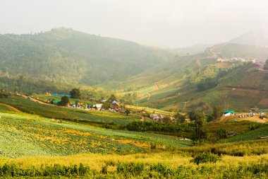 tropikal yağmur ormanlarında, phu hin rong kla Milli Parkı: phetchabun