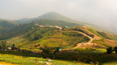tropikal yağmur ormanlarında, phu hin rong kla Milli Parkı: phetchabun