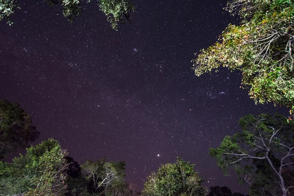 Cielo notturno scuro con molte stelle. Sfondo dello spazio — Foto Stock