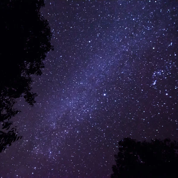 Cielo notturno scuro con molte stelle. Sfondo dello spazio — Foto Stock