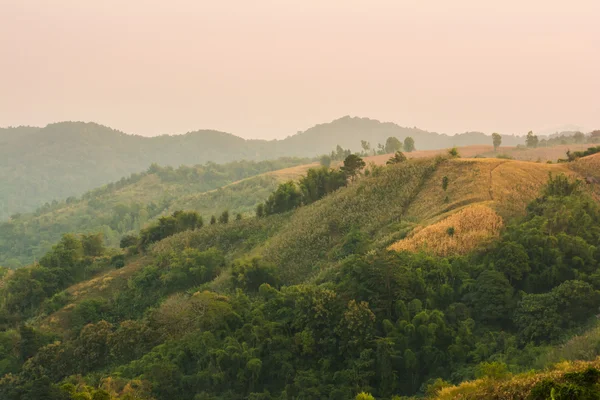 Selva tropical, en el Parque Nacional Phu Hin Rong Kla Phetchabun — Foto de Stock