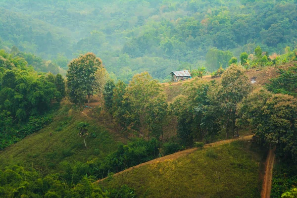 Hut on a green hill — Stock Photo, Image