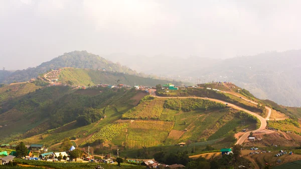 Tropisch regenwoud, in phu hin rong kla nationaal park phetchabun — Stockfoto