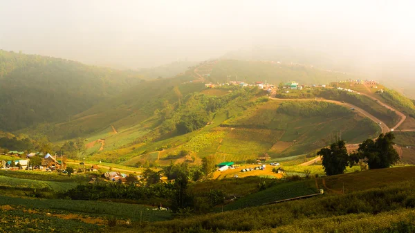 Forêt tropicale humide, dans le parc national Phu Hin Rong Kla Phetchabun — Photo