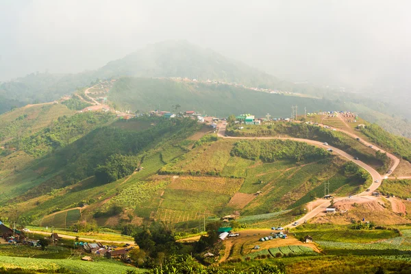 Foresta pluviale tropicale, nel parco nazionale Phu Hin Rong Kla Phetchabun — Foto Stock