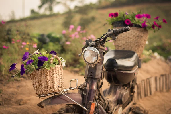 꽃과 오토바이 — 스톡 사진