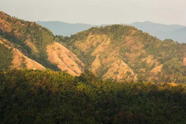 Тропические леса, в национальном парке Phu Hin Rong Kla Phetchabun — стоковое фото