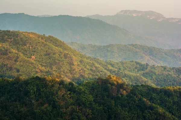 Tropisk regnskog, i phu hin rong kla nationalpark phetchabun — Stockfoto