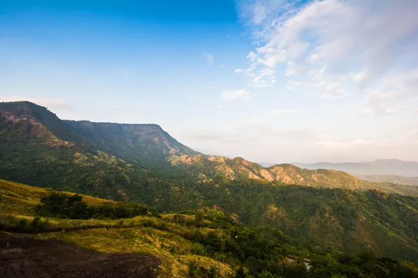 Tropisch regenwoud, in phu hin rong kla nationaal park phetchabun — Stockfoto