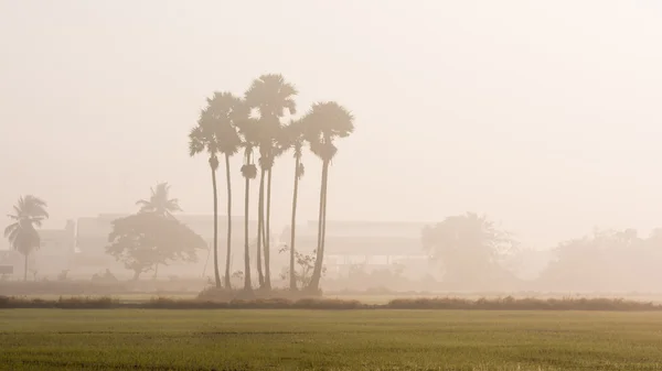 Landschaft im Nebel — Stockfoto