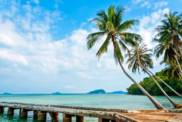 Praia tropical de verão com coqueiros — Fotografia de Stock