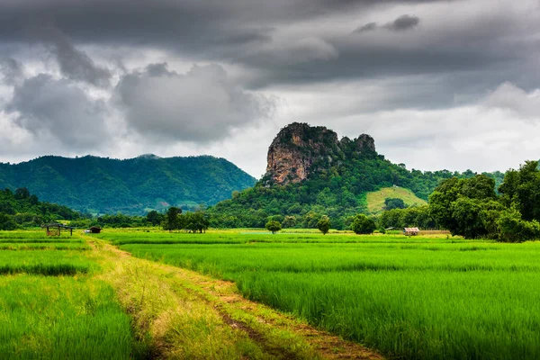 Horská Krajina Mlhou Dopoledních Hodinách Vesnice Phu Tub Berk Thajsko — Stock fotografie