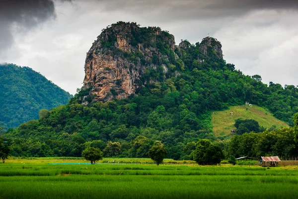 Paisagem Montanha Com Névoa Manhã Aldeia Phu Tub Berk Tailândia — Fotografia de Stock