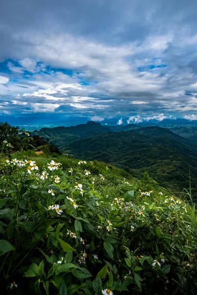 Paisagem Montanha Com Névoa Manhã Aldeia Phu Tub Berk Tailândia — Fotografia de Stock
