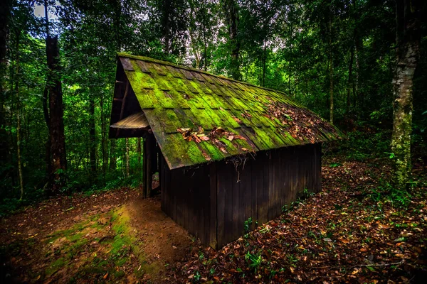 Stary Drewniany Domek Mech Dachu Lesie Thailnd — Zdjęcie stockowe