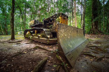 Ormanda kozalaklı ağaçların arasında modası geçmiş traktörle ahşap manzara