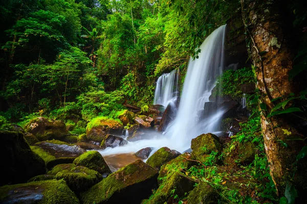 Wunderschöner Tropischer Regenwald Wasserfall Tiefen Wald — Stockfoto
