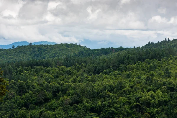 多云天气下热带雨林的空中景观 — 图库照片