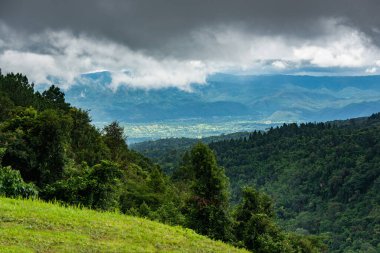 Dağlardaki çayır ve orman