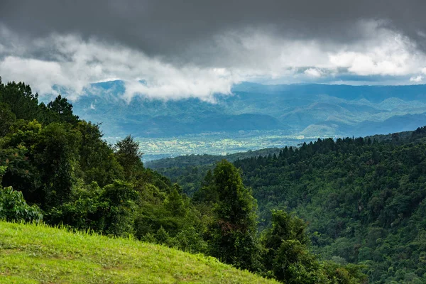 Prado Floresta Nas Montanhas — Fotografia de Stock