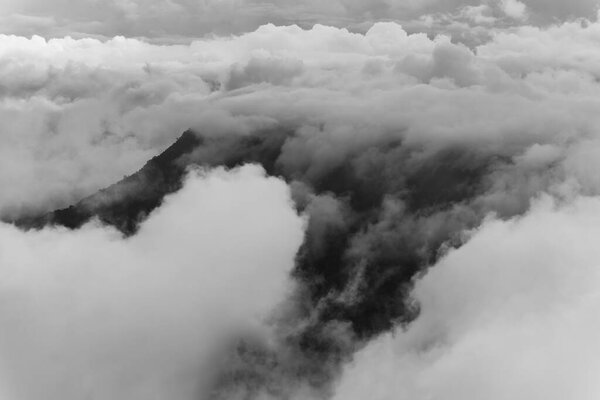 Туман в лесу, пейзаж на черно-белом