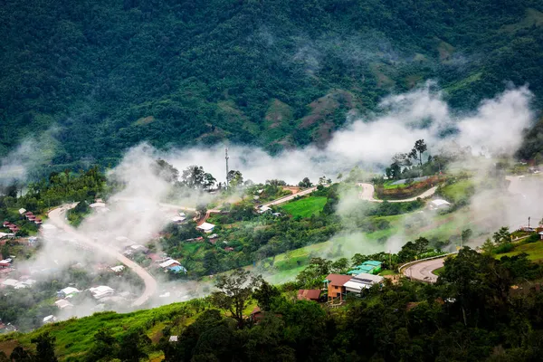 Nature Eclairage Route Dans Brouillard Entre Route Aller Phu Tabberk — Photo