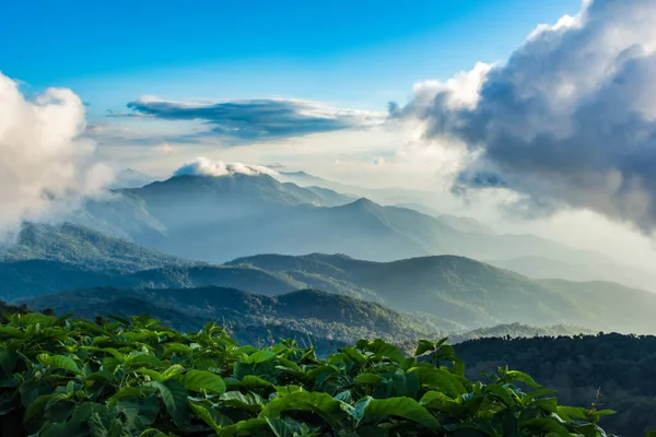 Prachtige Hoge Berg Landschap Bedekt Met Wolken Avondzon — Stockfoto