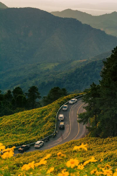 Красивые Пейзажи Veiw Точка Желтых Цветов Thung Bua Tong Mae — стоковое фото