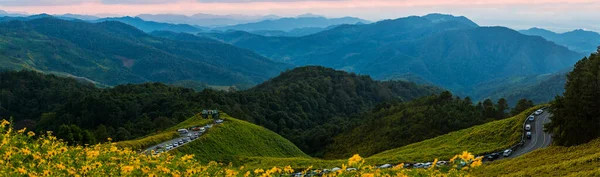 Panorama Veiw Hermoso Paisaje Flores Amarillas Thung Bua Tong Mae — Foto de Stock