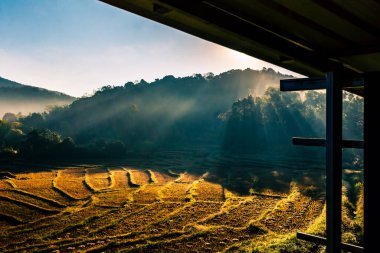 Sabahları güzel pirinç terası Mae Hong Son, Tayland