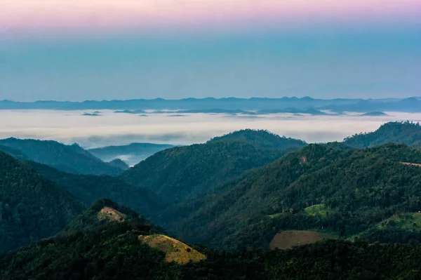 Morning Fog Dense Tropical Rainforest Misty Forest Landscape Salavin National — стоковое фото