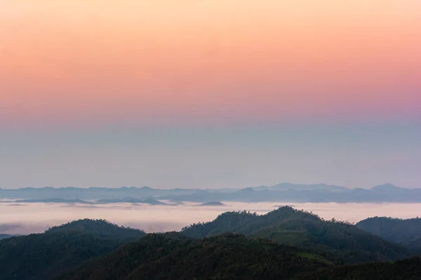 熱帯雨林での朝の霧 サラヴィン国立公園での霧の森の風景 — ストック写真