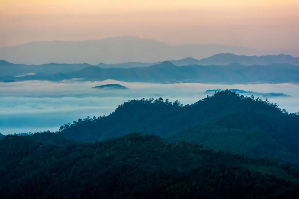 熱帯雨林での朝の霧 サラヴィン国立公園での霧の森の風景 — ストック写真