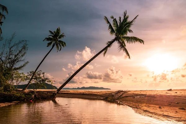 Seyahat Için Tropik Plaj Arka Planındaki Güzel Günbatımı Palmiye Ağaçlarının — Stok fotoğraf