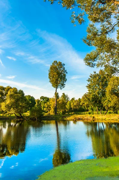 Spring landscape — Stock Photo, Image